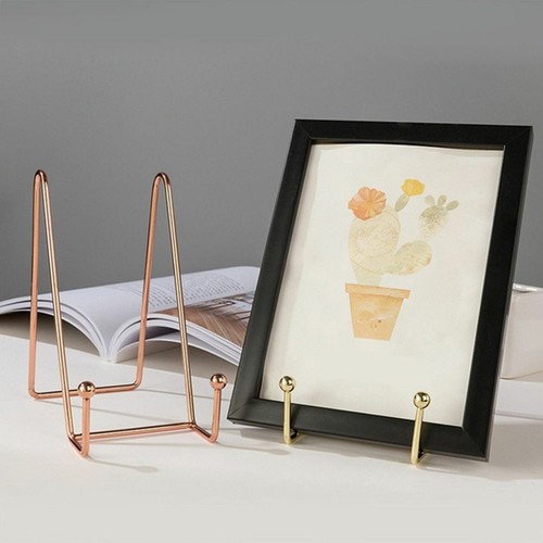 Book/Plate/Phone/Pictures